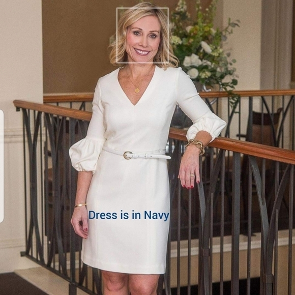 WORTH Navy V Neck Puff Sleeve Dress - Picture 1 of 10